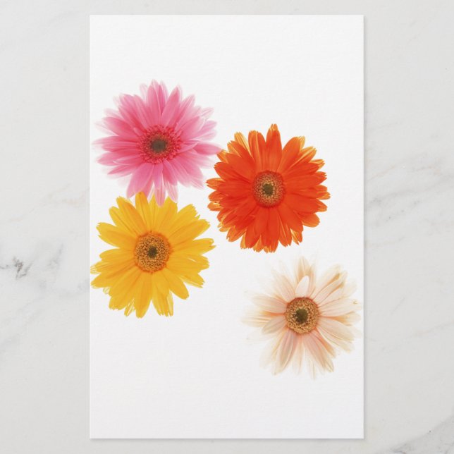 Papier Gerbera Fleurs Imprimer Fleur Flottante Faisy Fais (Devant)