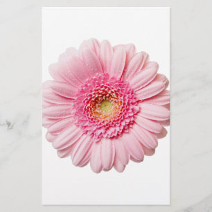 Papier Gerbera Rose Daisy