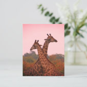 Papier Girafe au ciel rose (Debout devant)