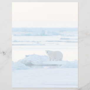 Papier Glace et neige Ours polaire Iceberg Norvège