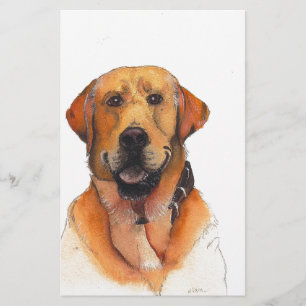 Papier Golden Labrador Retriever