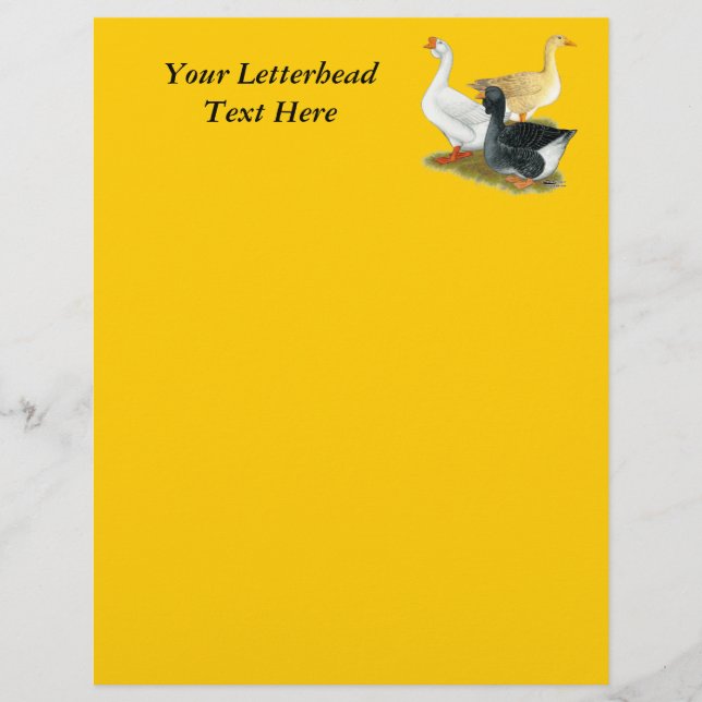 Papier Goose Trio (Devant)