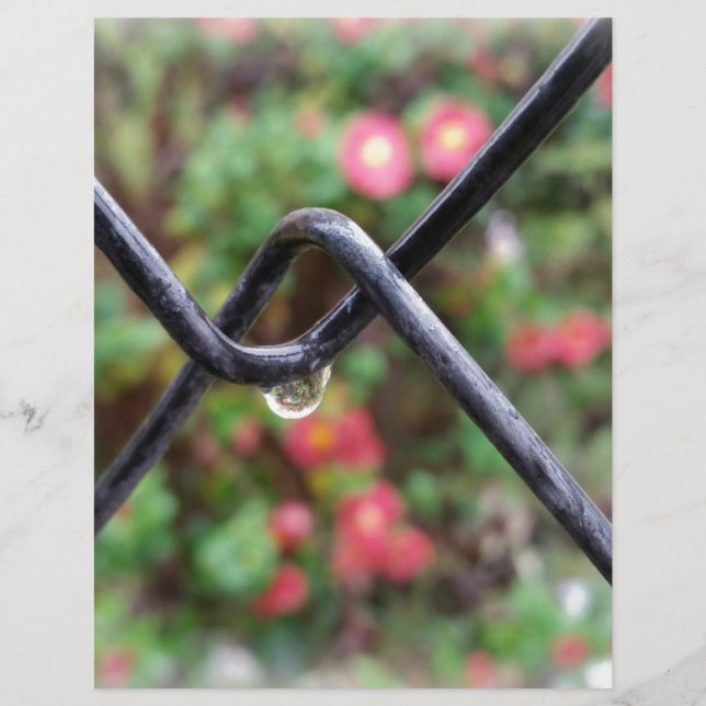 Papier Goutte de pluie (Devant)