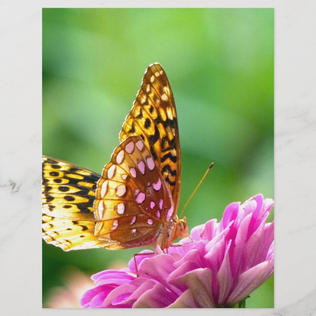 Papier Grand Fritillaire (Devant)