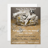 Papier Grande Danse sur Canapé Chevronné Pet Sitting Flye (Devant / Derrière)