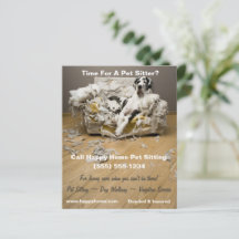 Grande Danse sur Canapé Chevronné Pet Sitting Flye