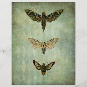 Papier Green Moths Vintage Style Scrapbook Ephemera