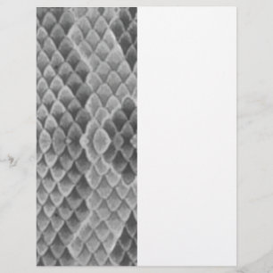 Papier Grey Snakeskin
