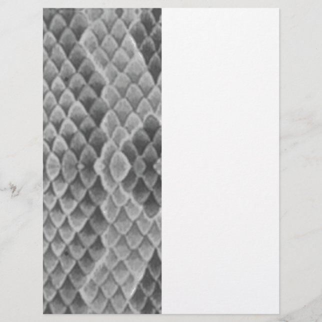 Papier Grey Snakeskin (Devant)