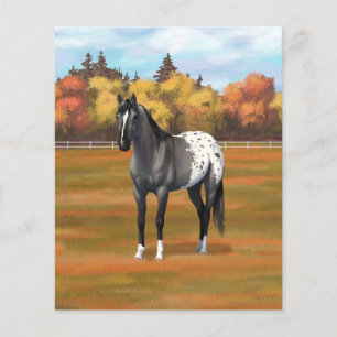 Papier Gris Grulla Appaloosa Quartier Horse Stallion
