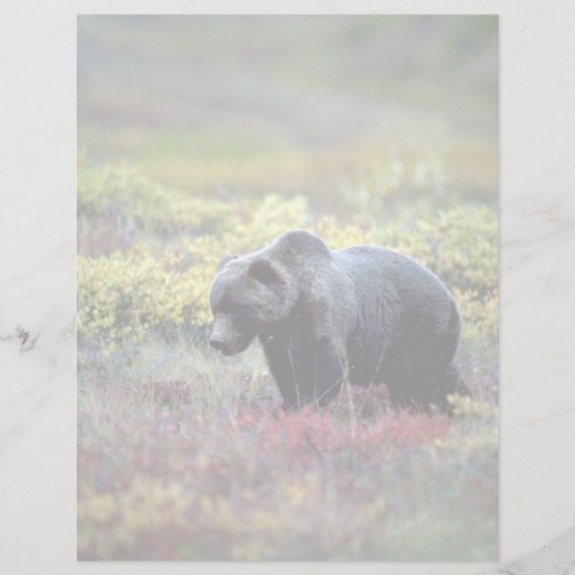 Papier Grizzly Bear (Devant)