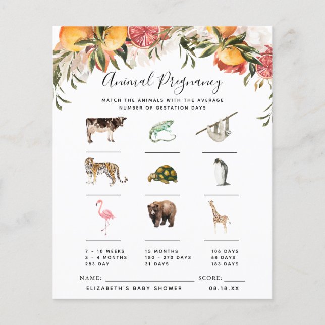 Papier Grossesse Animale | Jeu de Baby Shower (Devant)