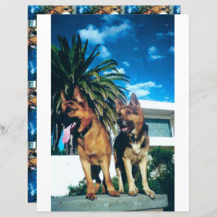 Papier groupe berger allemand à 2 côtés scrapbook