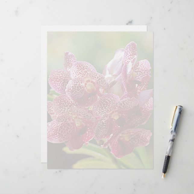 Papier Groupe tropical d'orchidées de Vanda (Devant/Arrière en situation)