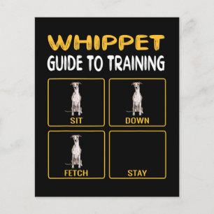 Papier guide blanc pour l'entraînement de l'obéissance ch