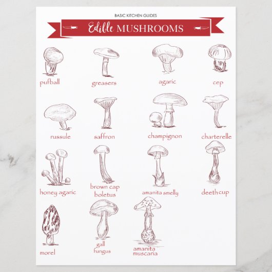 Papier Guide cuisine : Champignons comestibles (Devant)