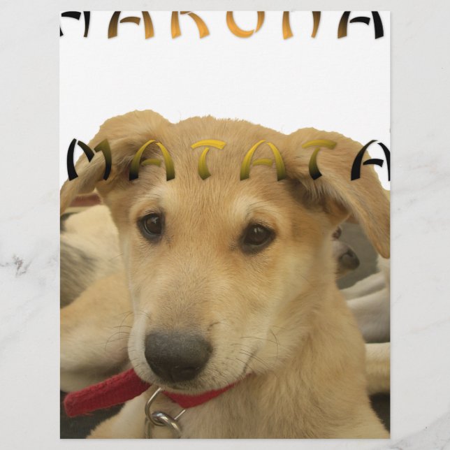 Papier Hakuna Matata Je sais ce que vous pensez pinctur (Devant)