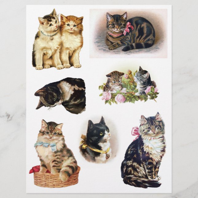 Papier Helena Maguire Chat Vintage, Kitten Art (Devant)