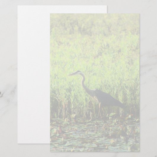 Papier Heron 6449 (Devant / Derrière)
