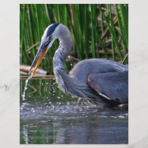 Papier Heron Splash