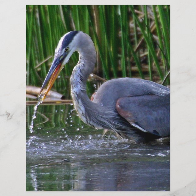 Papier Heron Splash (Devant)