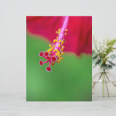 Papier hibiscus (Debout devant)