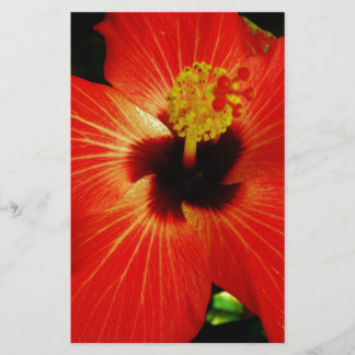 Papier Hibiscus rouge