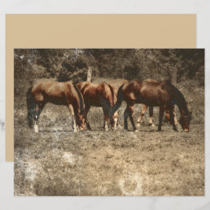 Papier Horse Farm Pays Vintage Rustique Ouest