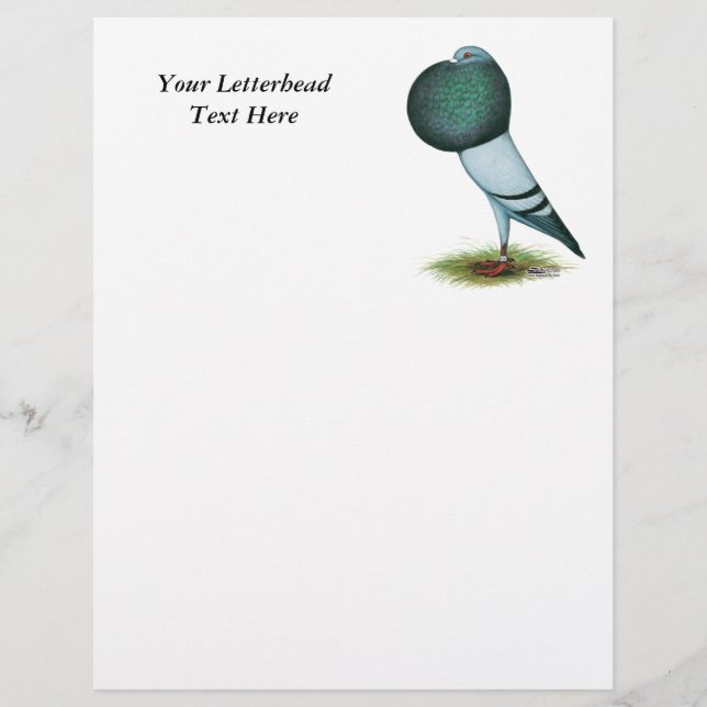 Papier Horseman Pouter Pigeon Blue (Devant)