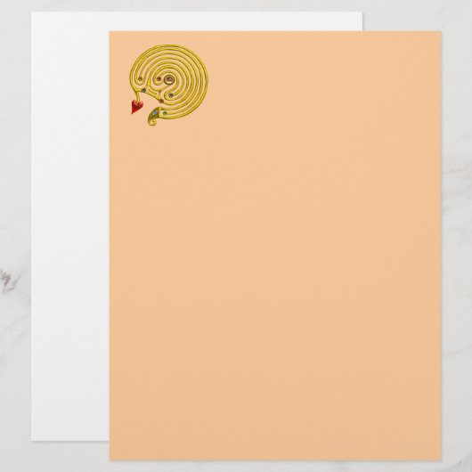 PAPIER HYPER LABYRINTH (Devant / Derrière)