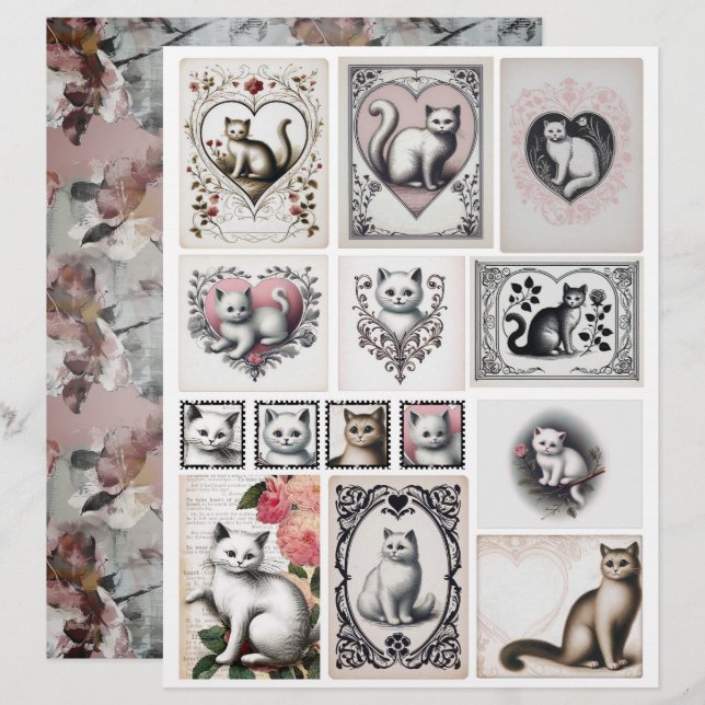 Papier Illustrations de chaton noir et rose de style vint (Devant / Derrière)