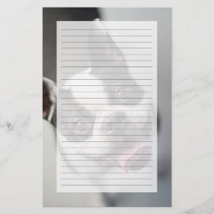 Papier Images Getty French Bulldog