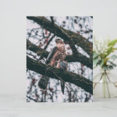 Papier Impression photo Hawk (Debout devant)