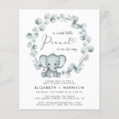 Papier Invitation Baby shower des couples d'eucalyptus él (Devant)