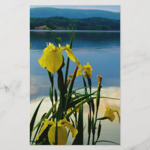 Papier Iris jaune à Lake Shore