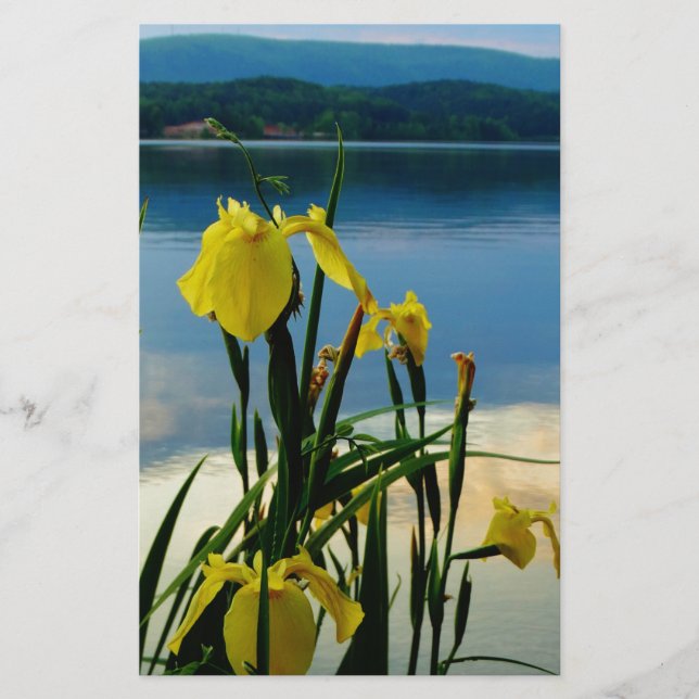 Papier Iris jaune à Lake Shore (Devant)
