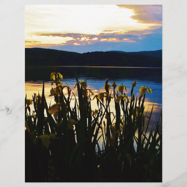Papier Iris jaunes sur la rive du lac Arrowhead (Devant)