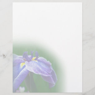 Papier Iris Letterhead