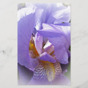 Papier iris pourpre