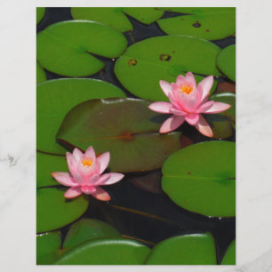 Papier Jardin de fleurs de lotus rose nénuphar,