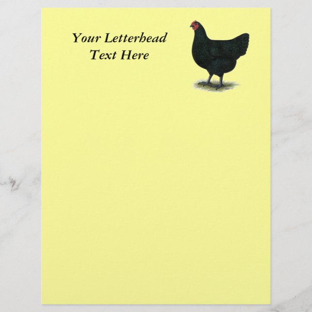 Papier Jersey Giant : Black Hen (Devant)