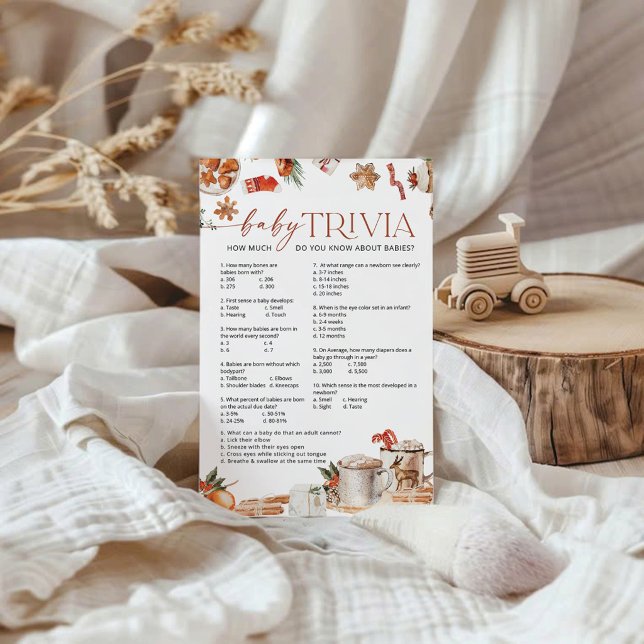 Papier Jeu de quiz pour bébé d'hiver (Créateur téléchargé)