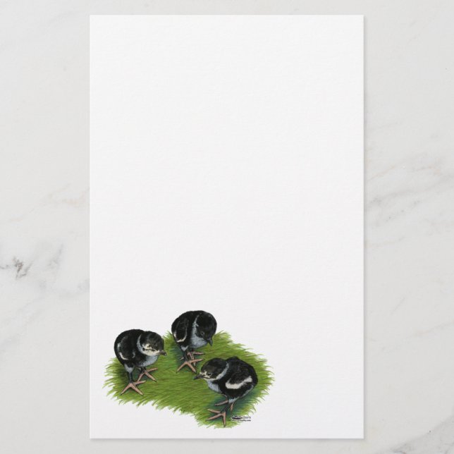Papier Jeunes faisans noirs (Devant)