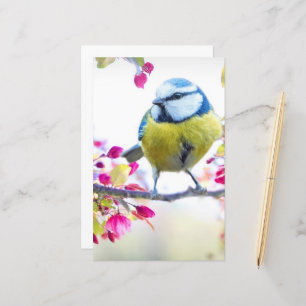 Papier Joli oiseau bleu et jaune sur une branche Photogra