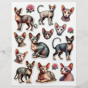 Papier Jolie collection d'illustrations de chats sans che