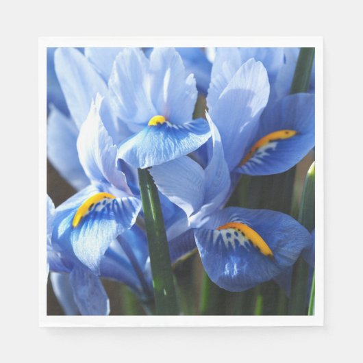 Papier Jolie serviette bleue en iris (Devant)