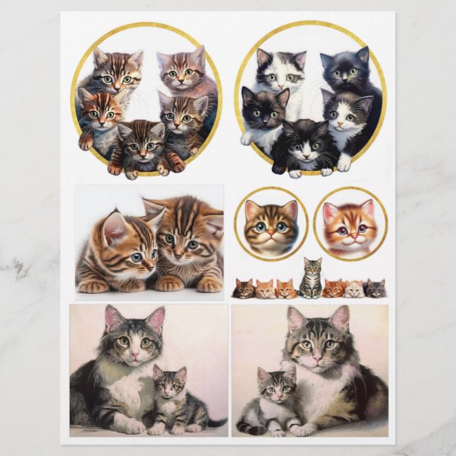 Papier Jolies illustrations de chats inspirées de H. Magu (Devant)