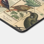 Papier Journal Botanique Papillon Oiseau Vintage (Coin)