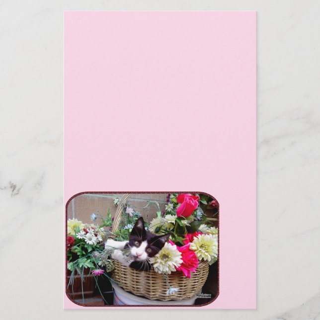 Papier Kitten (Devant)