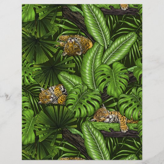 Papier Kittés de la jungle (Devant)